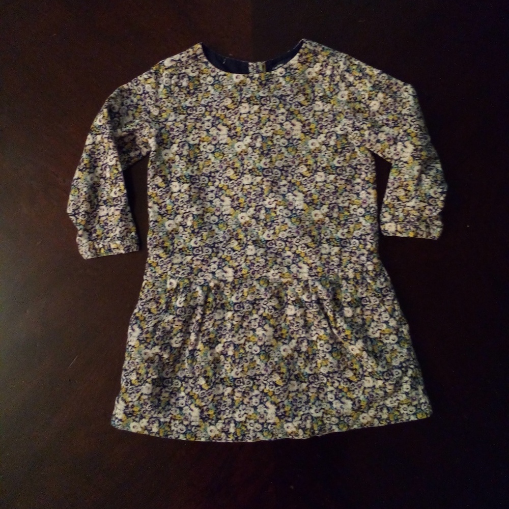 Gap Toddler Dress